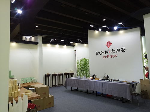 圆桌国际展览设计公司 一站式专业服务，赋能展会品牌价值